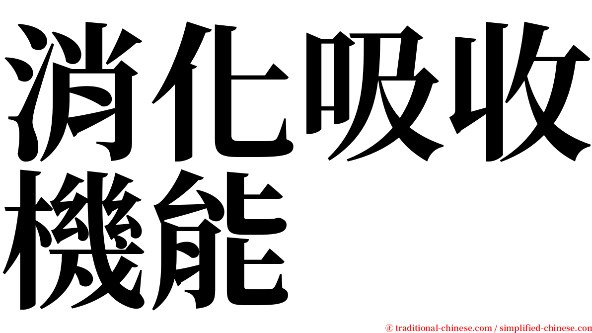 消化吸收機能 serif font