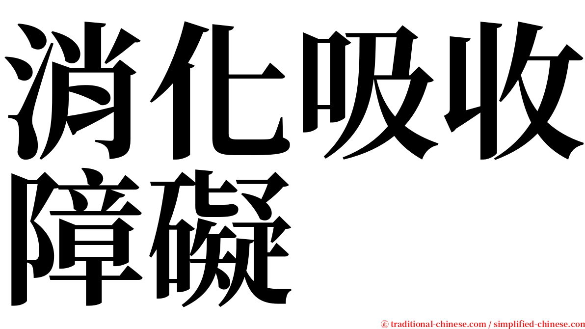 消化吸收障礙 serif font