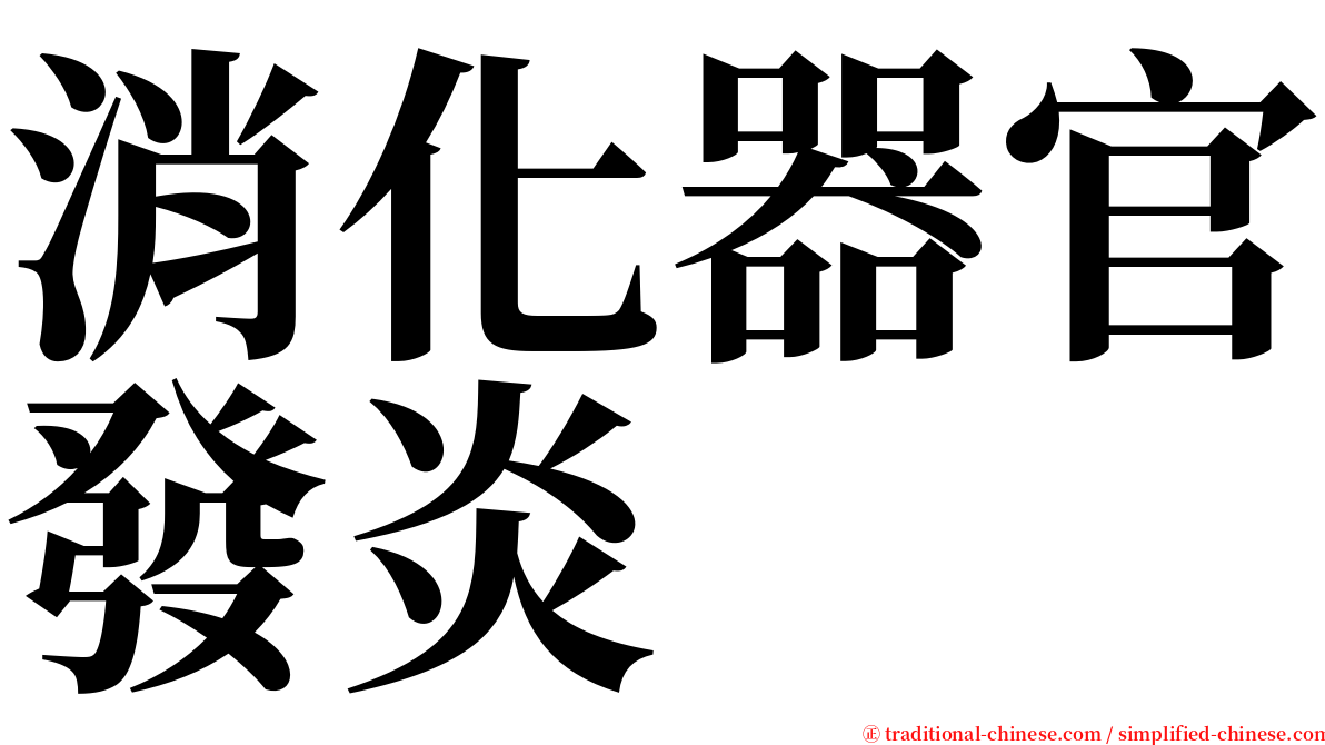 消化器官發炎 serif font