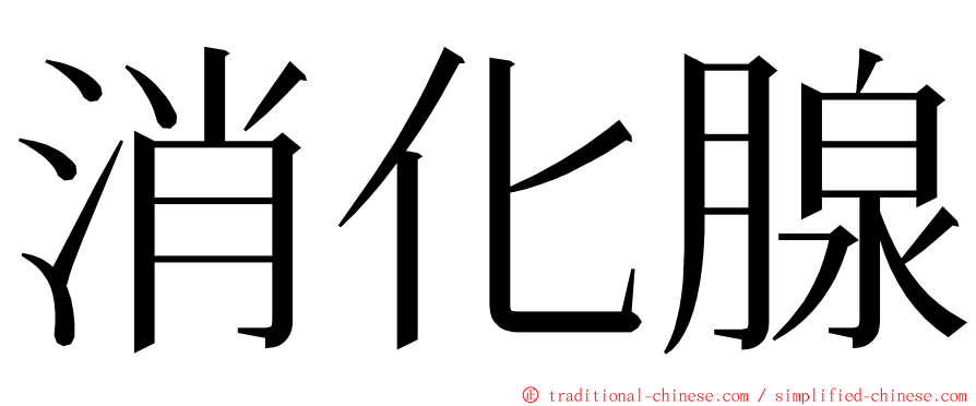 消化腺 ming font