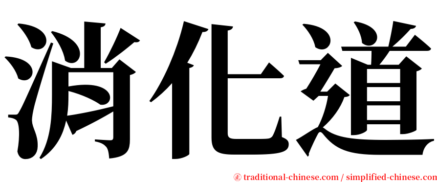 消化道 serif font