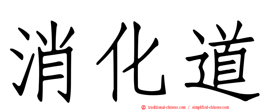 消化道