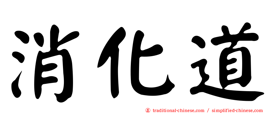 消化道