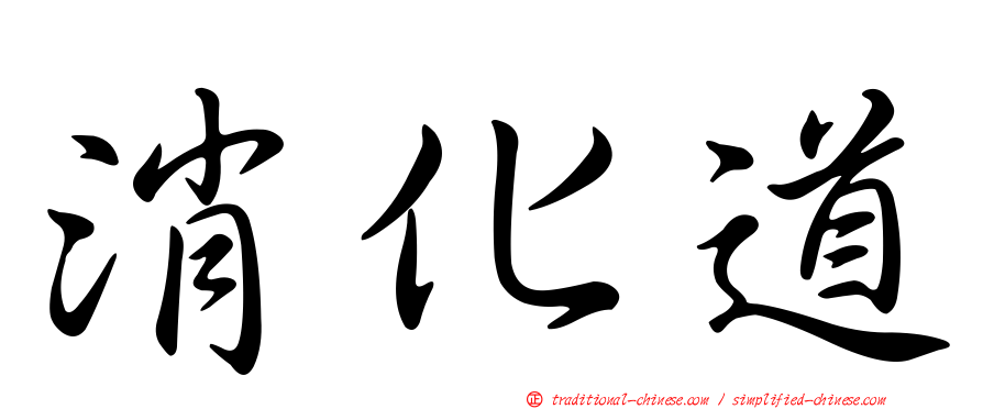 消化道