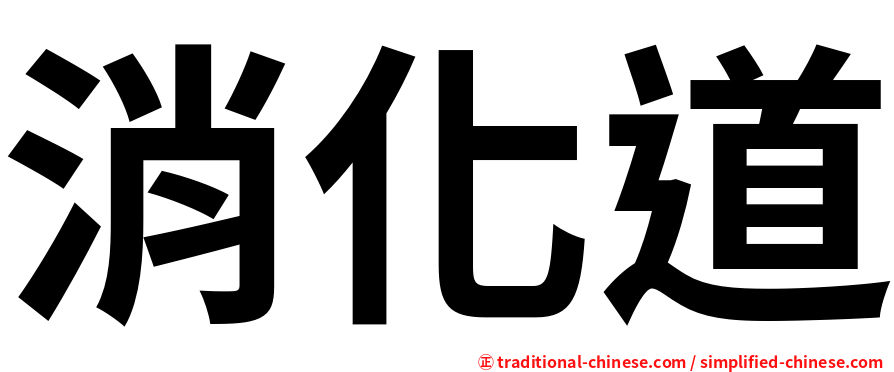 消化道