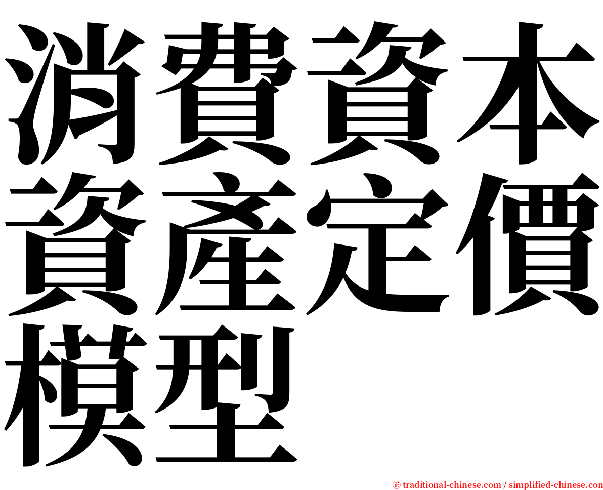 消費資本資產定價模型 serif font