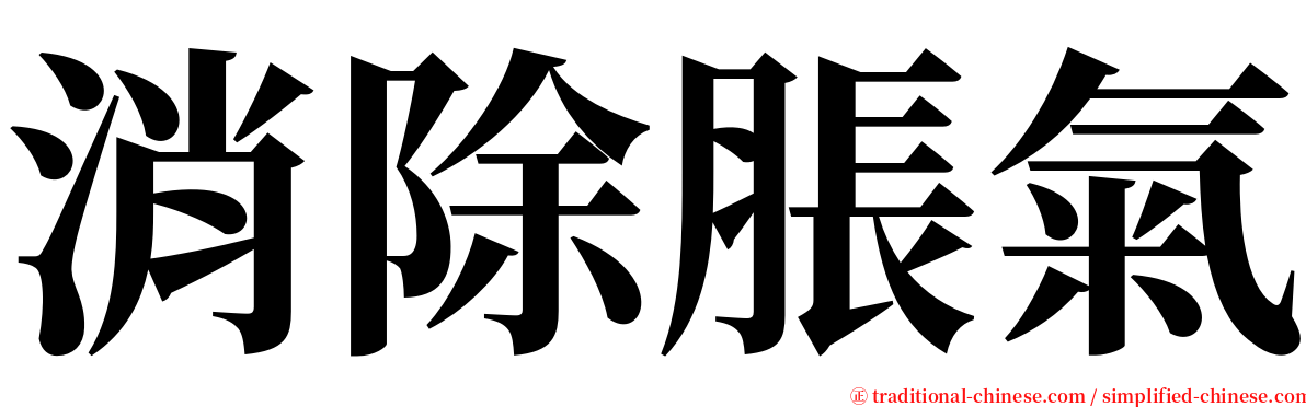 消除脹氣 serif font