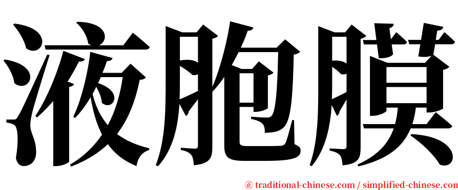 液胞膜 serif font