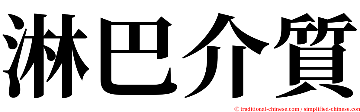 淋巴介質 serif font