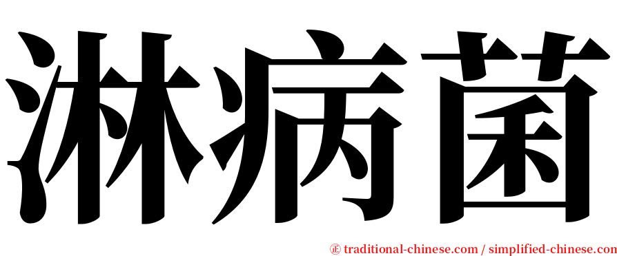 淋病菌 serif font