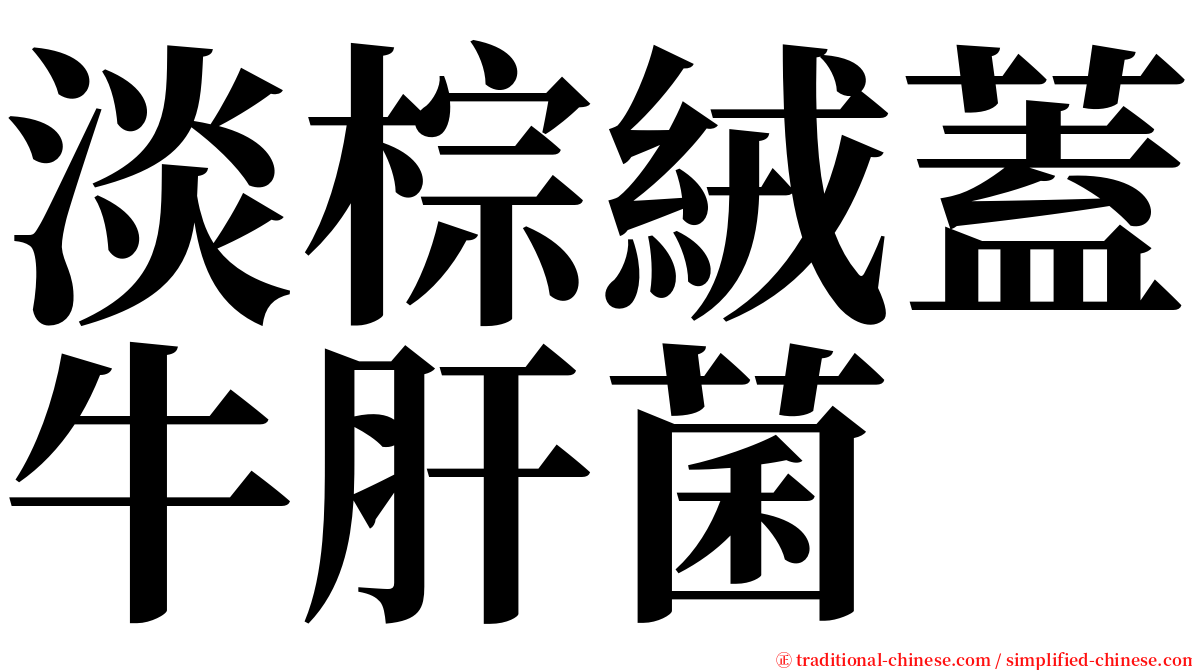 淡棕絨蓋牛肝菌 serif font