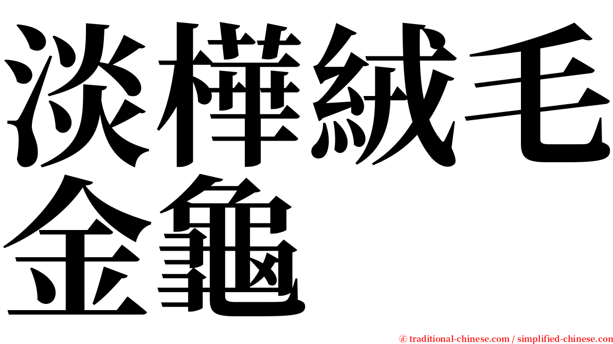 淡樺絨毛金龜 serif font