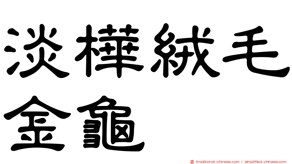 淡樺絨毛金龜