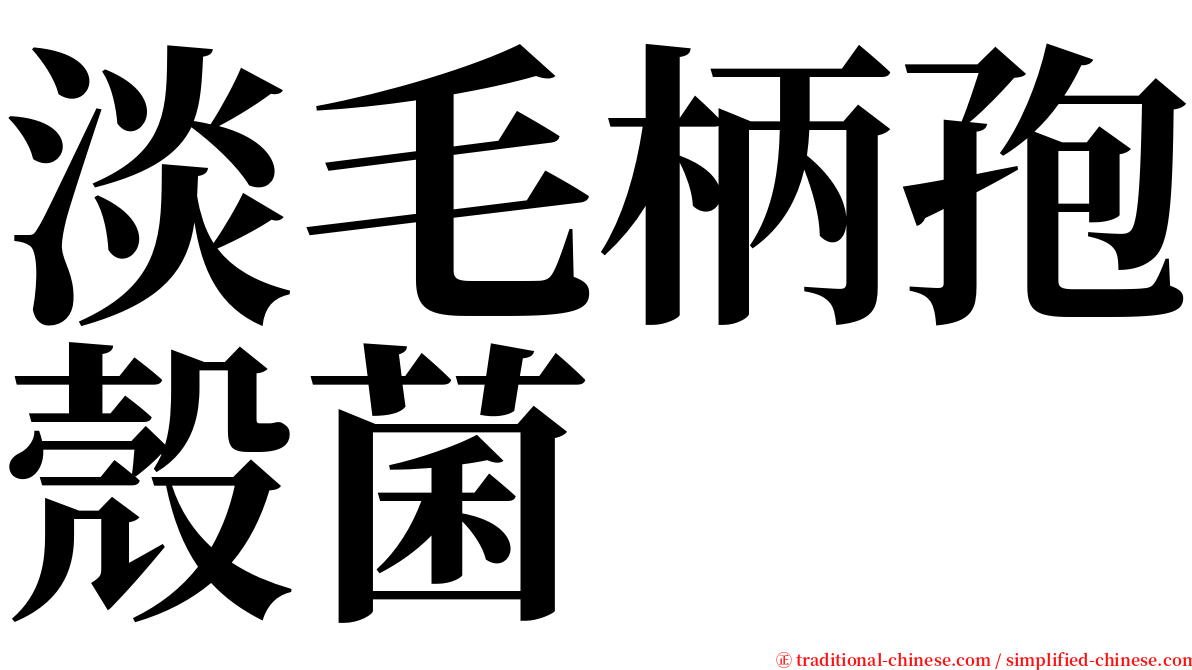 淡毛柄孢殼菌 serif font