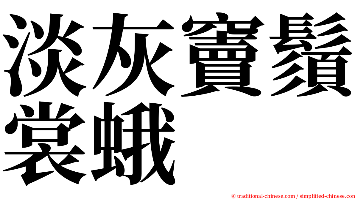 淡灰竇鬚裳蛾 serif font