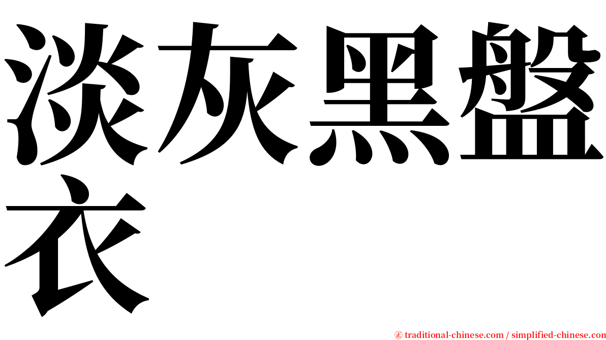 淡灰黑盤衣 serif font