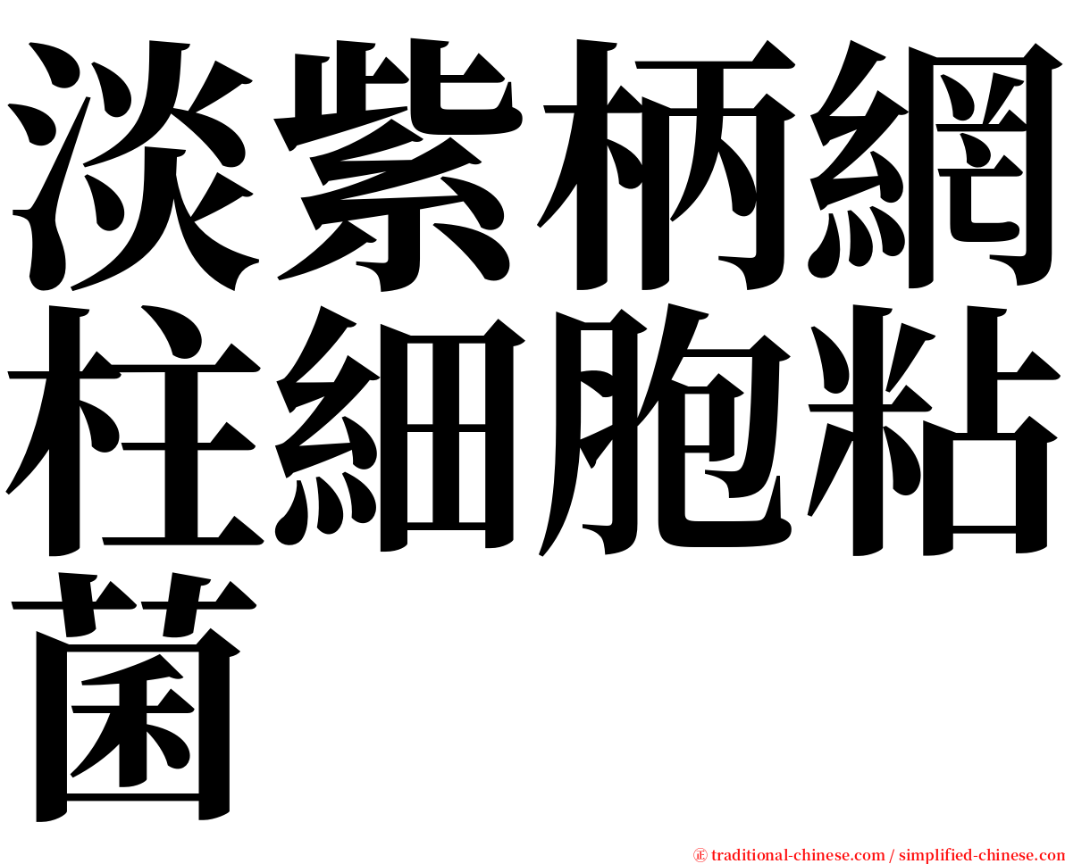 淡紫柄網柱細胞粘菌 serif font