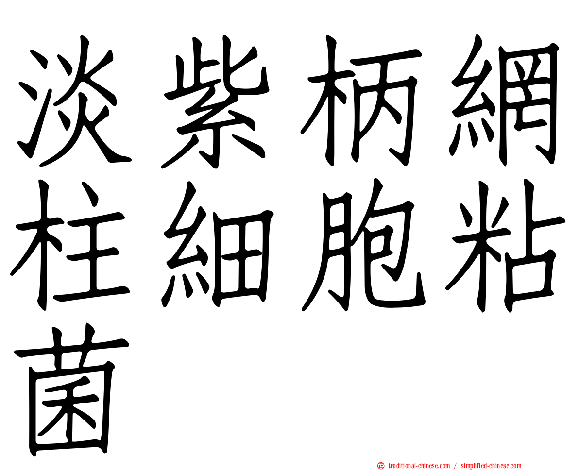 淡紫柄網柱細胞粘菌