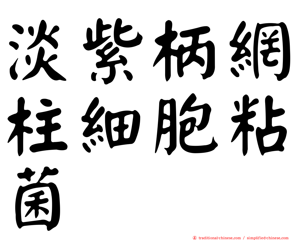 淡紫柄網柱細胞粘菌