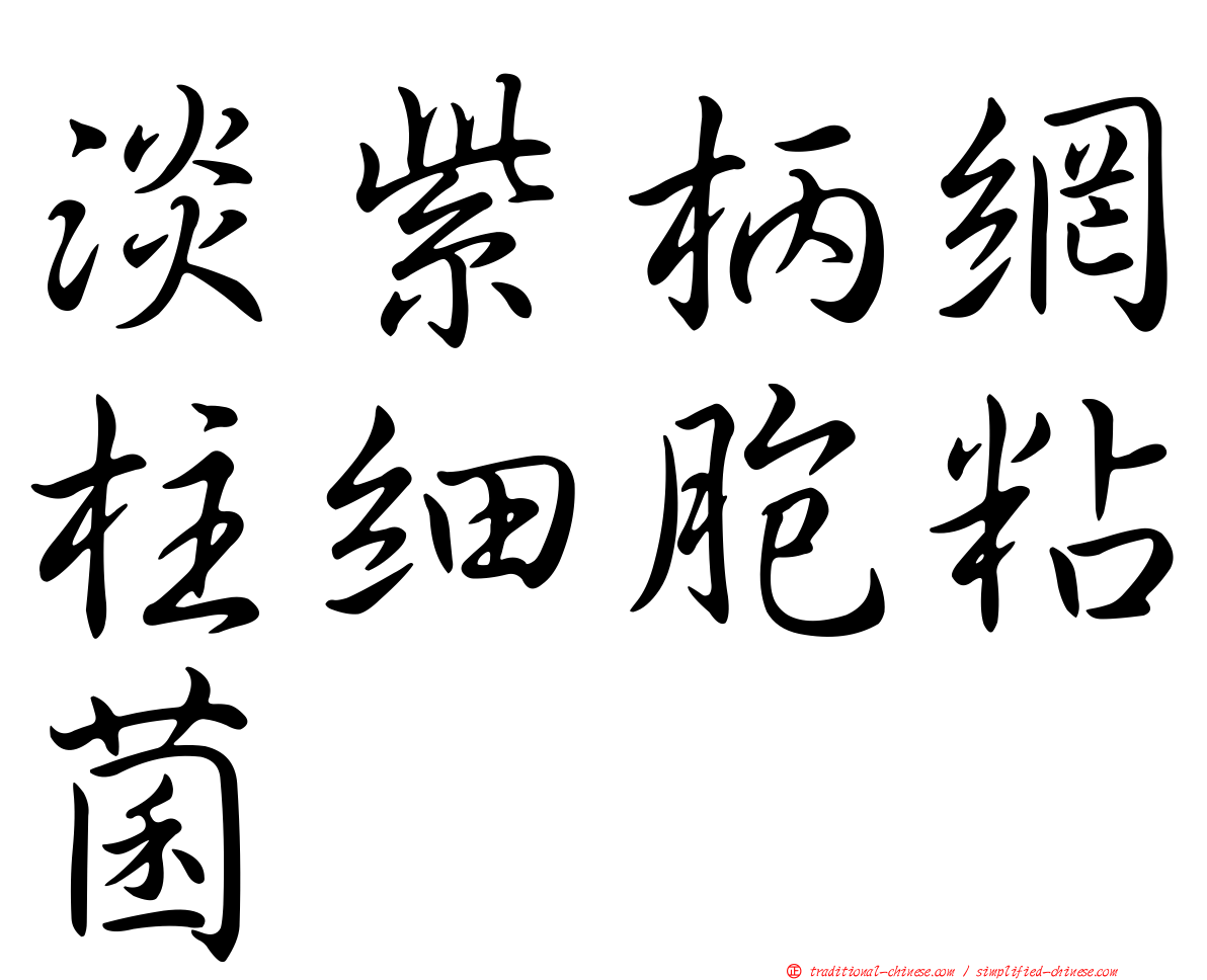 淡紫柄網柱細胞粘菌