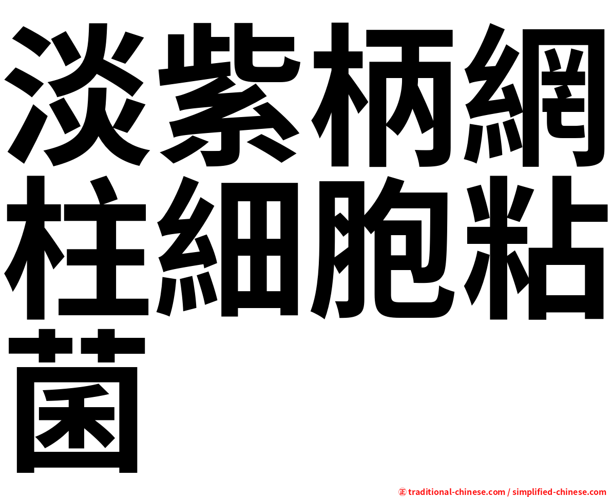 淡紫柄網柱細胞粘菌