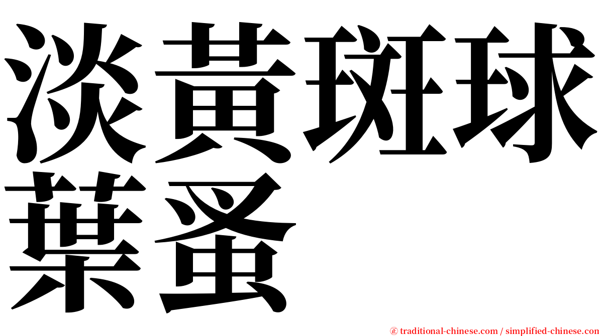 淡黃斑球葉蚤 serif font