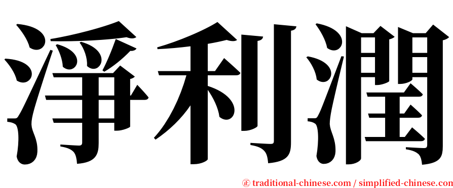 淨利潤 serif font