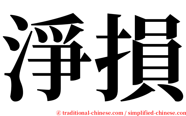 淨損 serif font