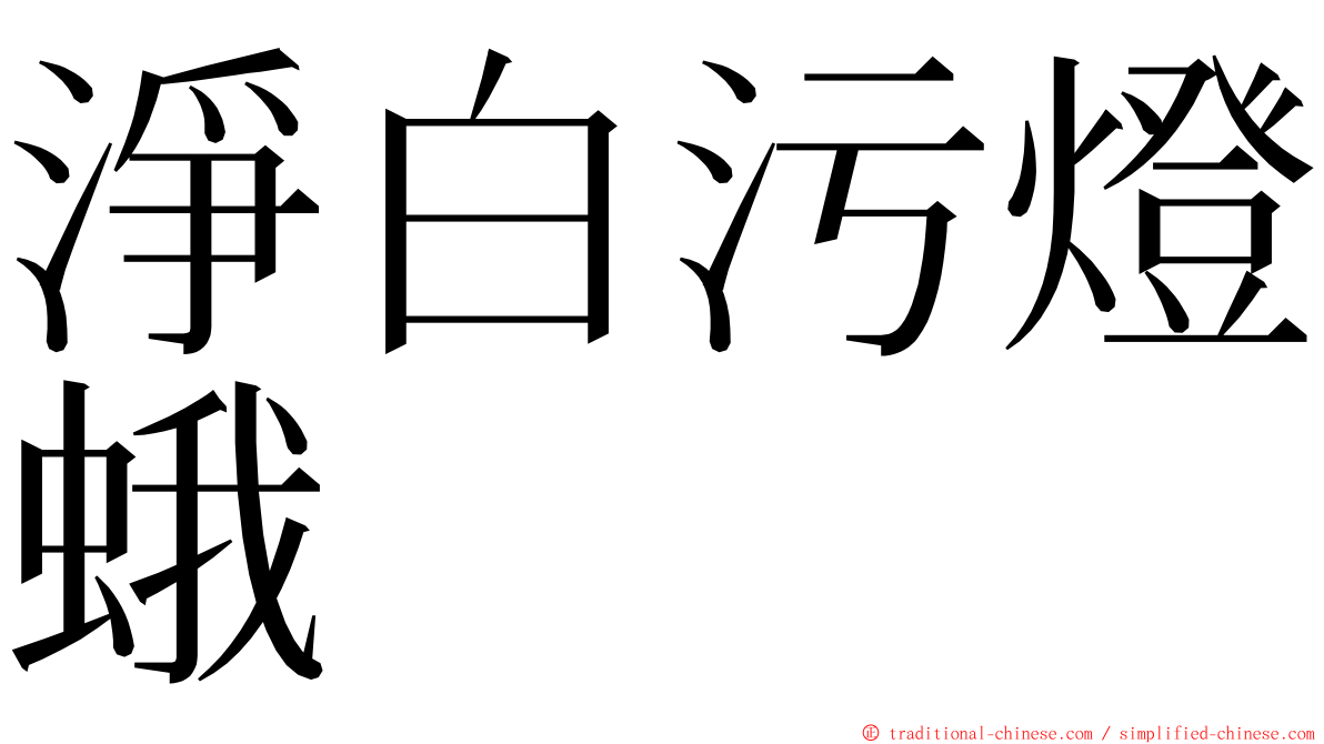 淨白污燈蛾 ming font