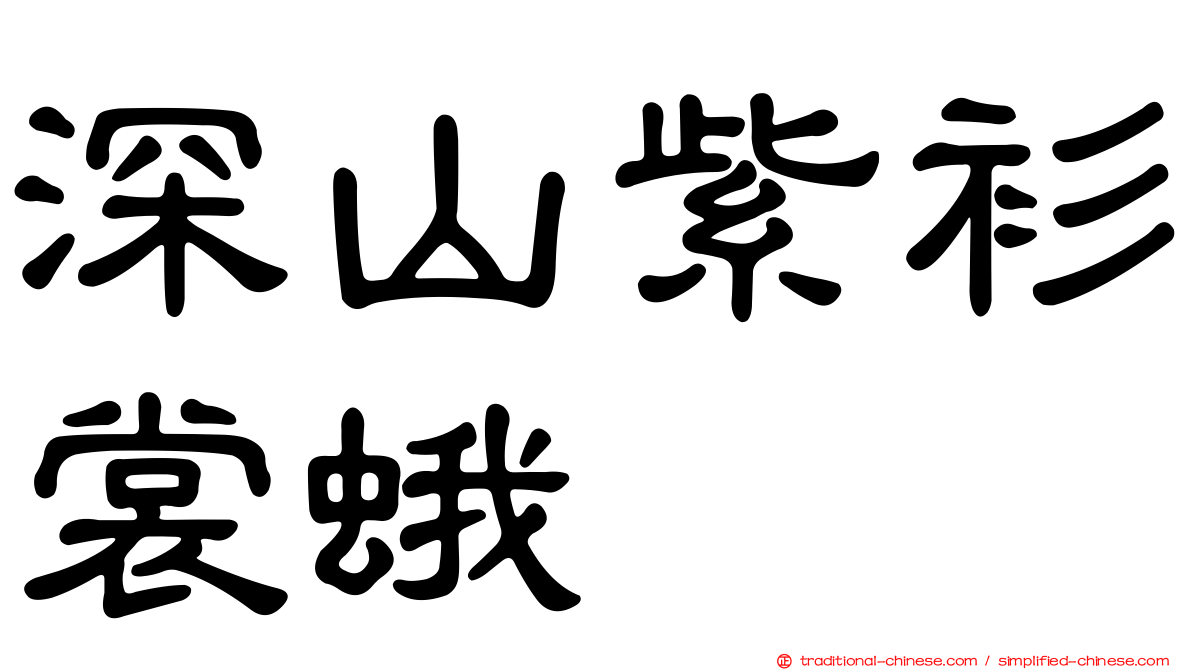 深山紫衫裳蛾