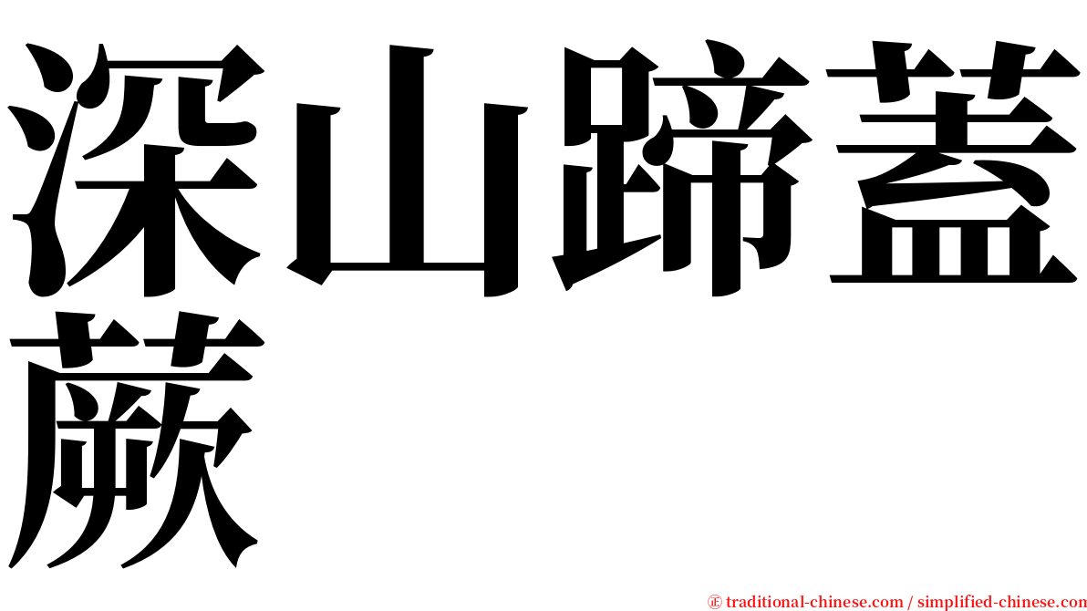 深山蹄蓋蕨 serif font