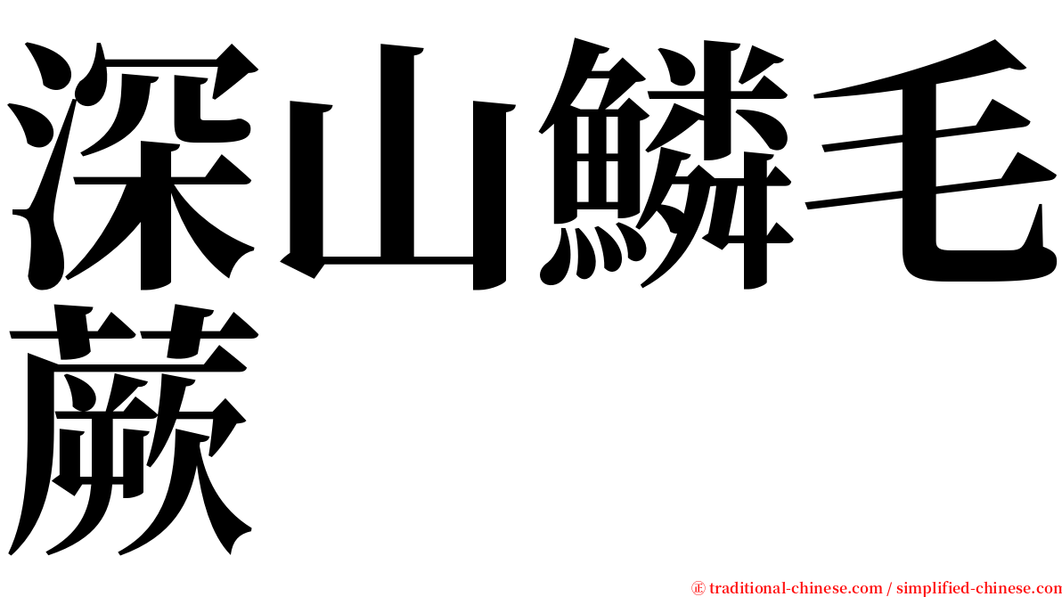 深山鱗毛蕨 serif font