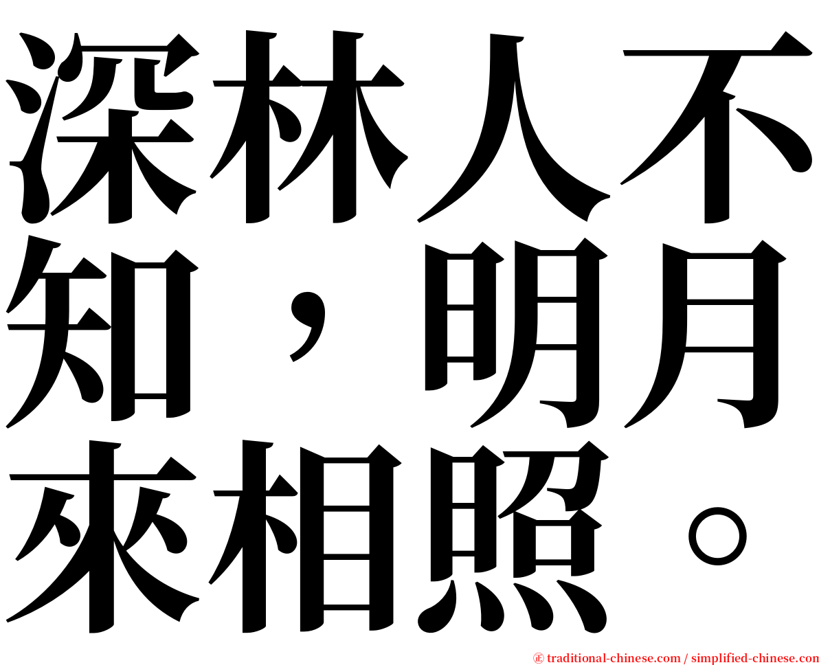 深林人不知，明月來相照。 serif font