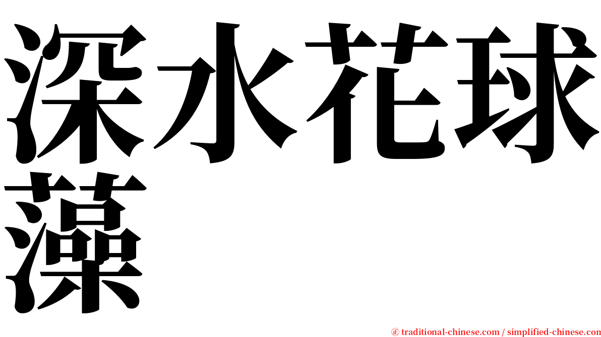 深水花球藻 serif font