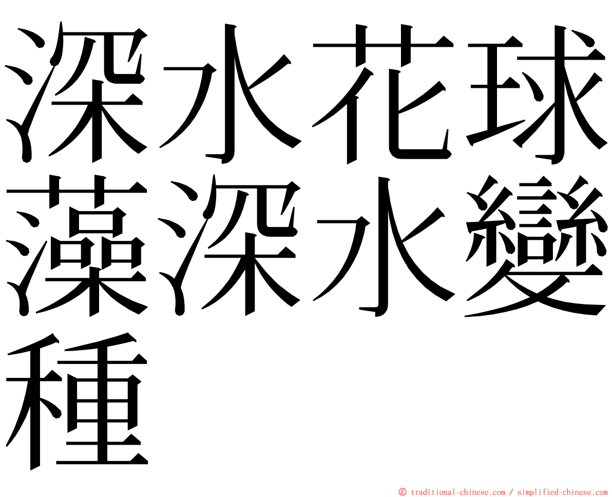 深水花球藻深水變種 ming font