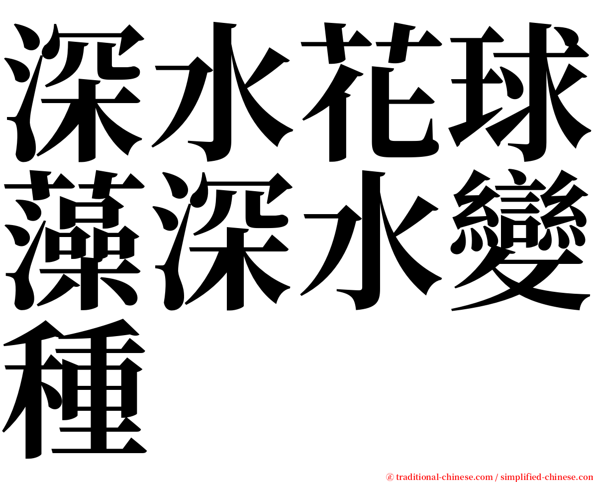 深水花球藻深水變種 serif font