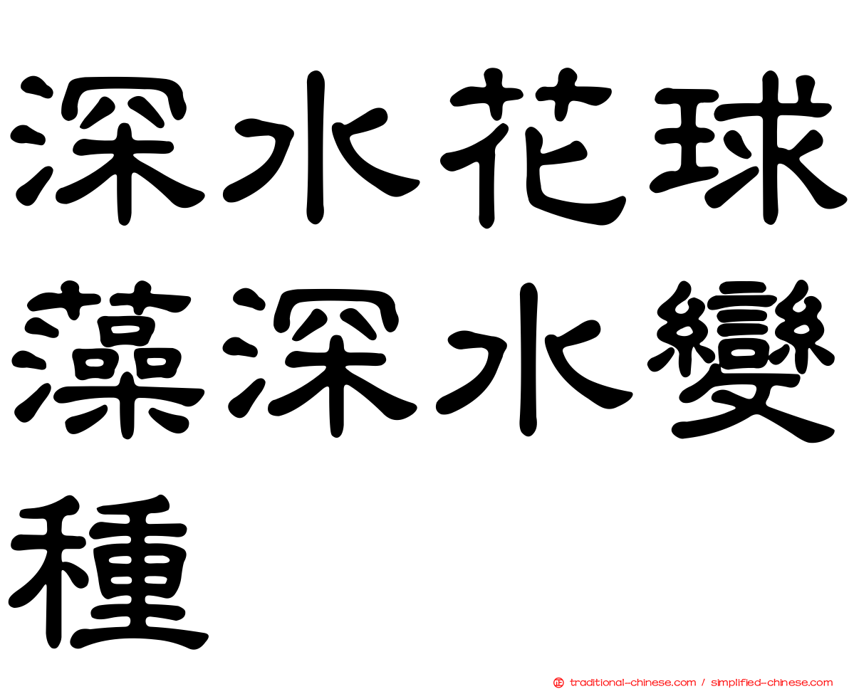 深水花球藻深水變種