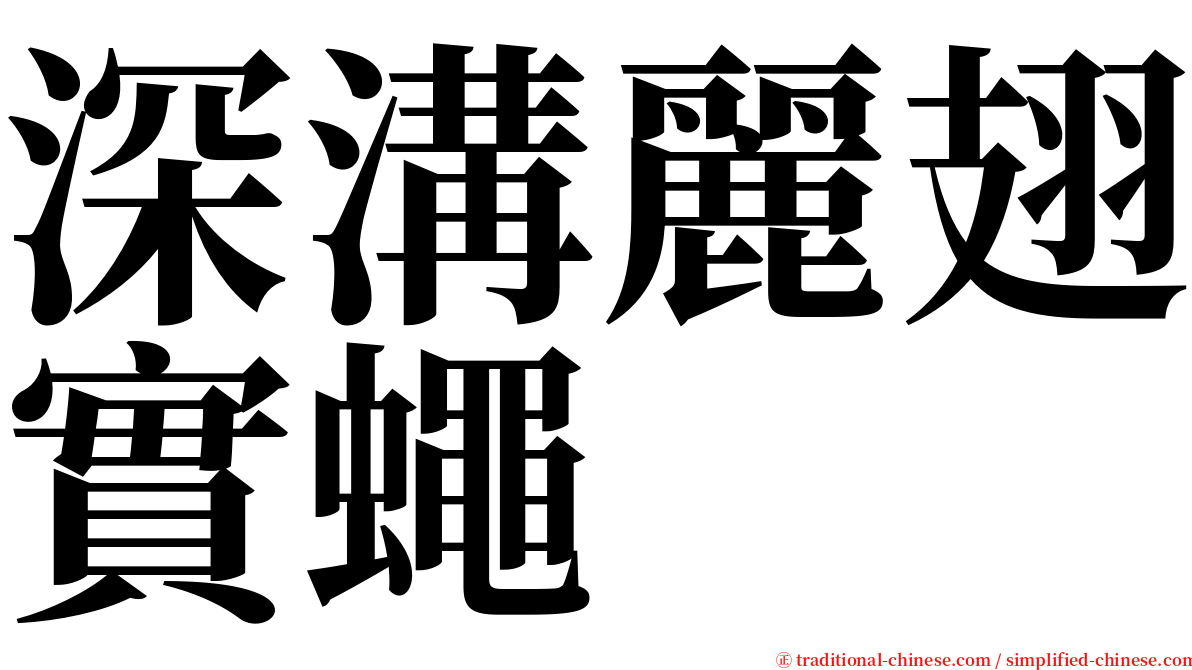 深溝麗翅實蠅 serif font