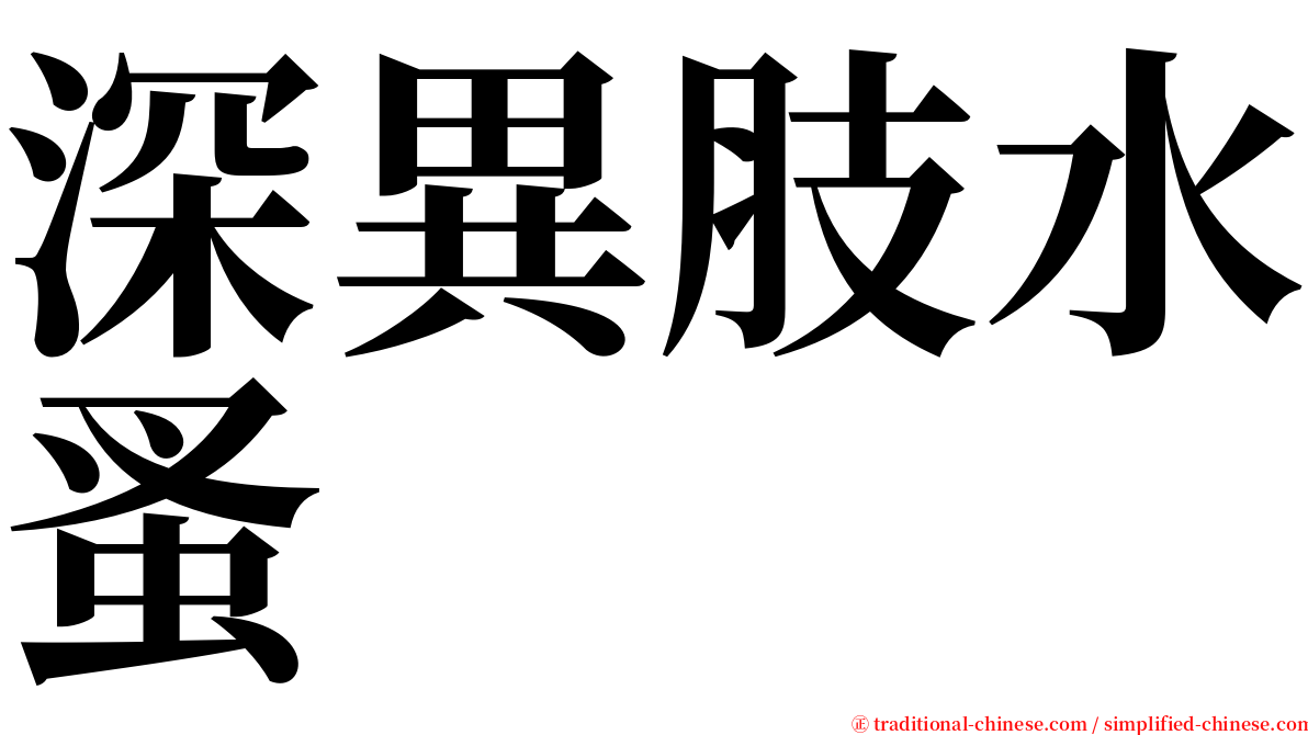 深異肢水蚤 serif font