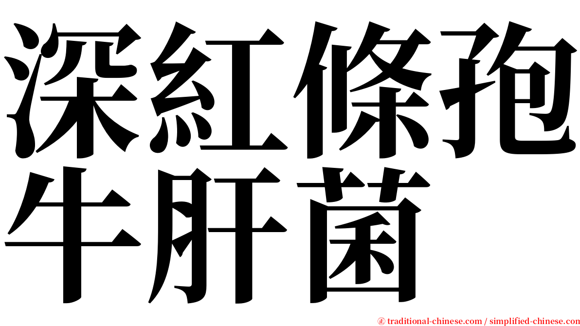 深紅條孢牛肝菌 serif font