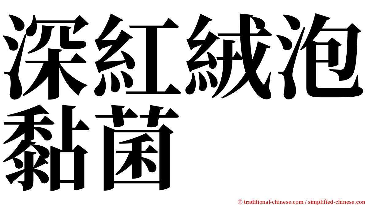 深紅絨泡黏菌 serif font