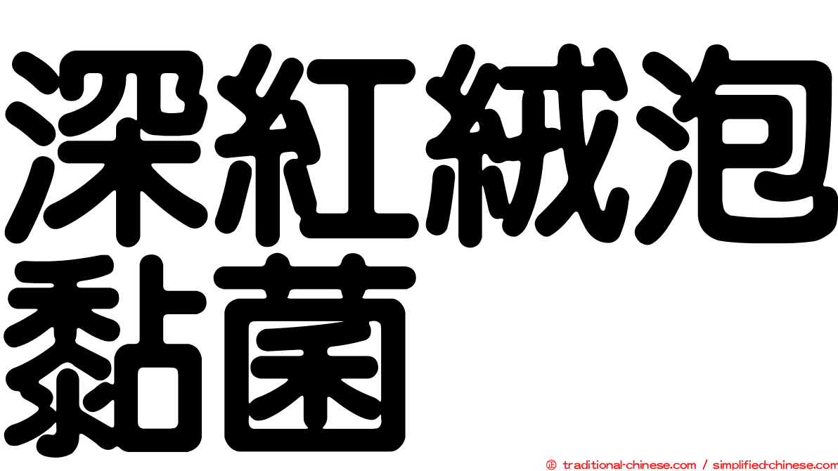 深紅絨泡黏菌