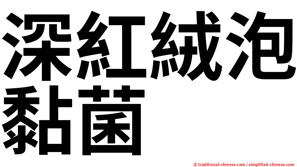 深紅絨泡黏菌