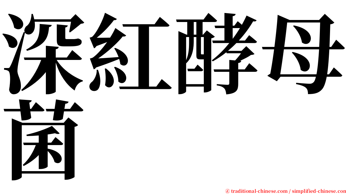 深紅酵母菌 serif font