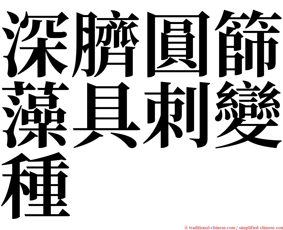 深臍圓篩藻具刺變種 serif font