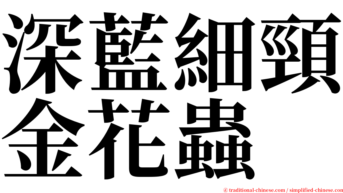 深藍細頸金花蟲 serif font