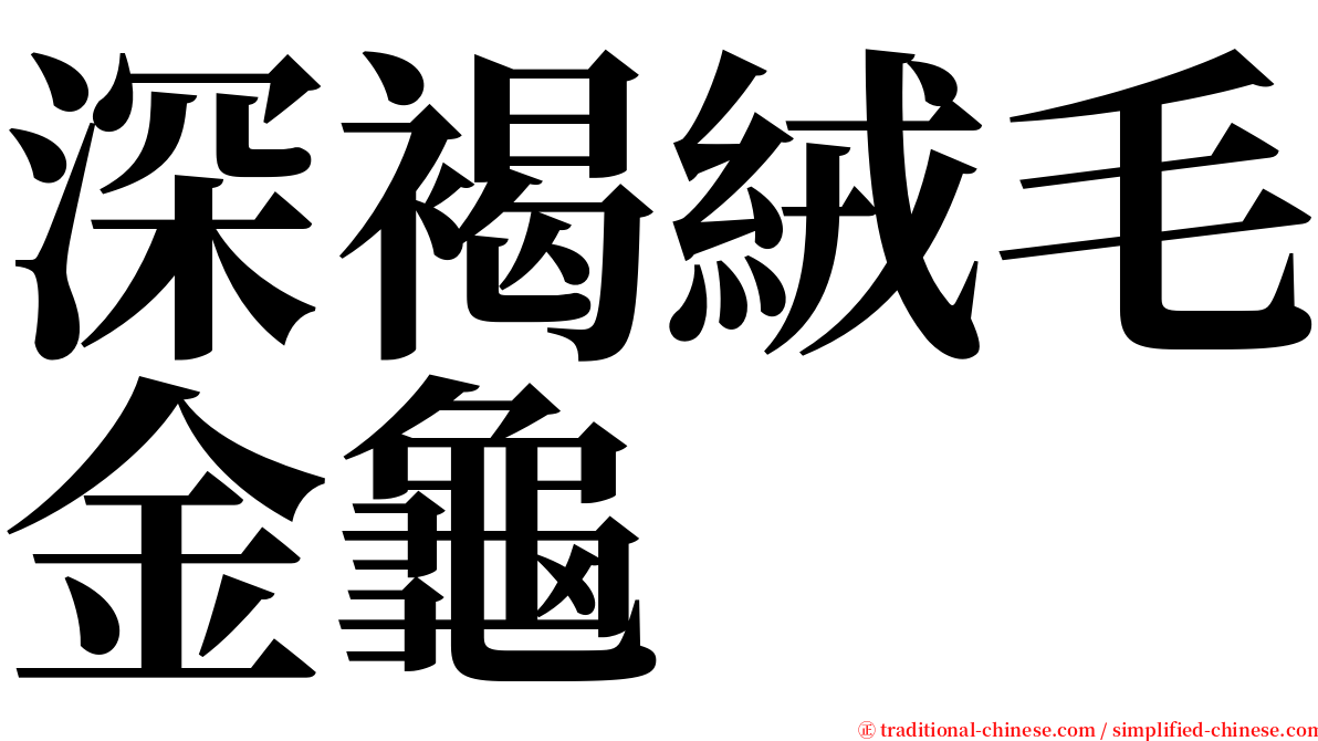 深褐絨毛金龜 serif font