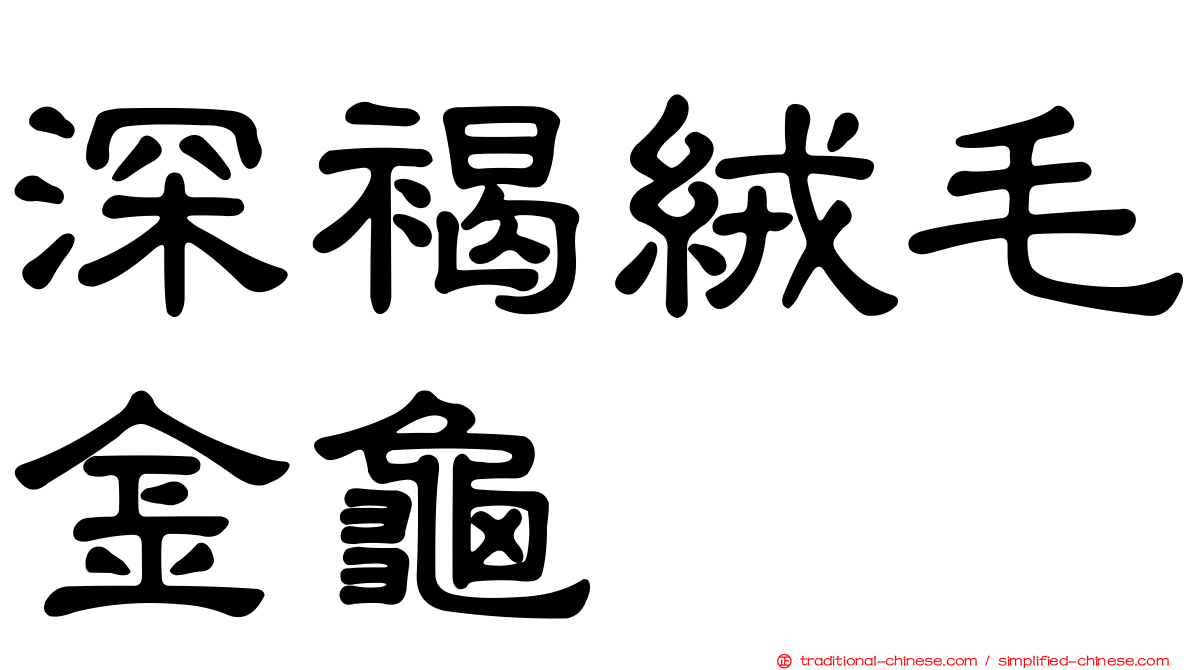 深褐絨毛金龜