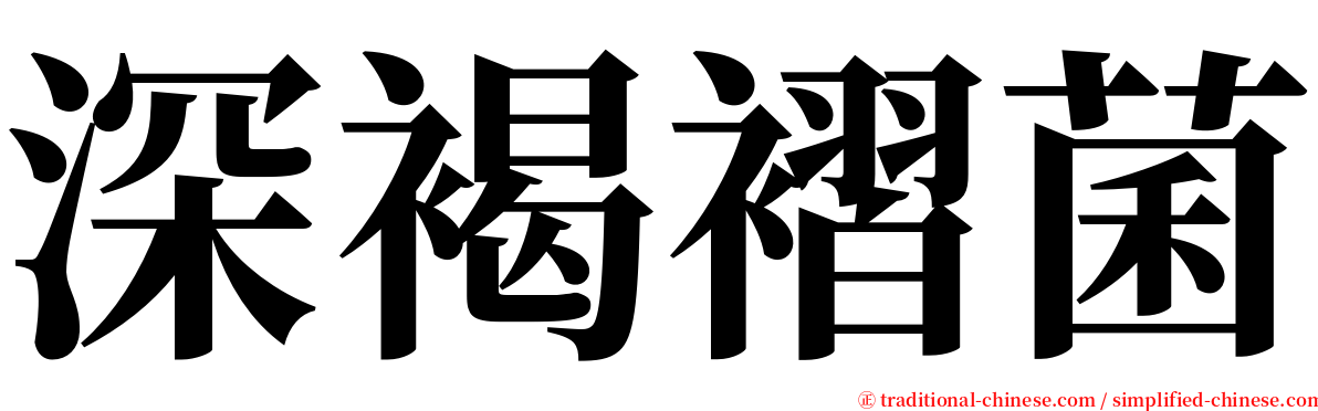 深褐褶菌 serif font