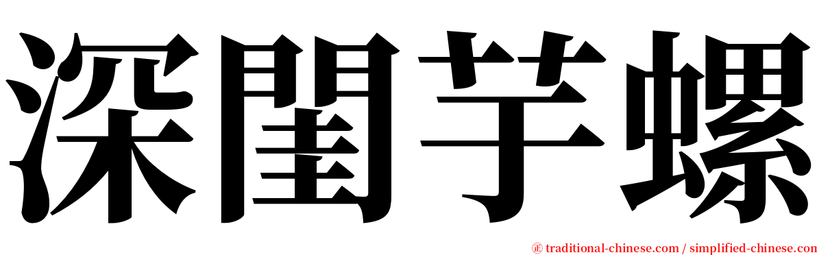 深閨芋螺 serif font